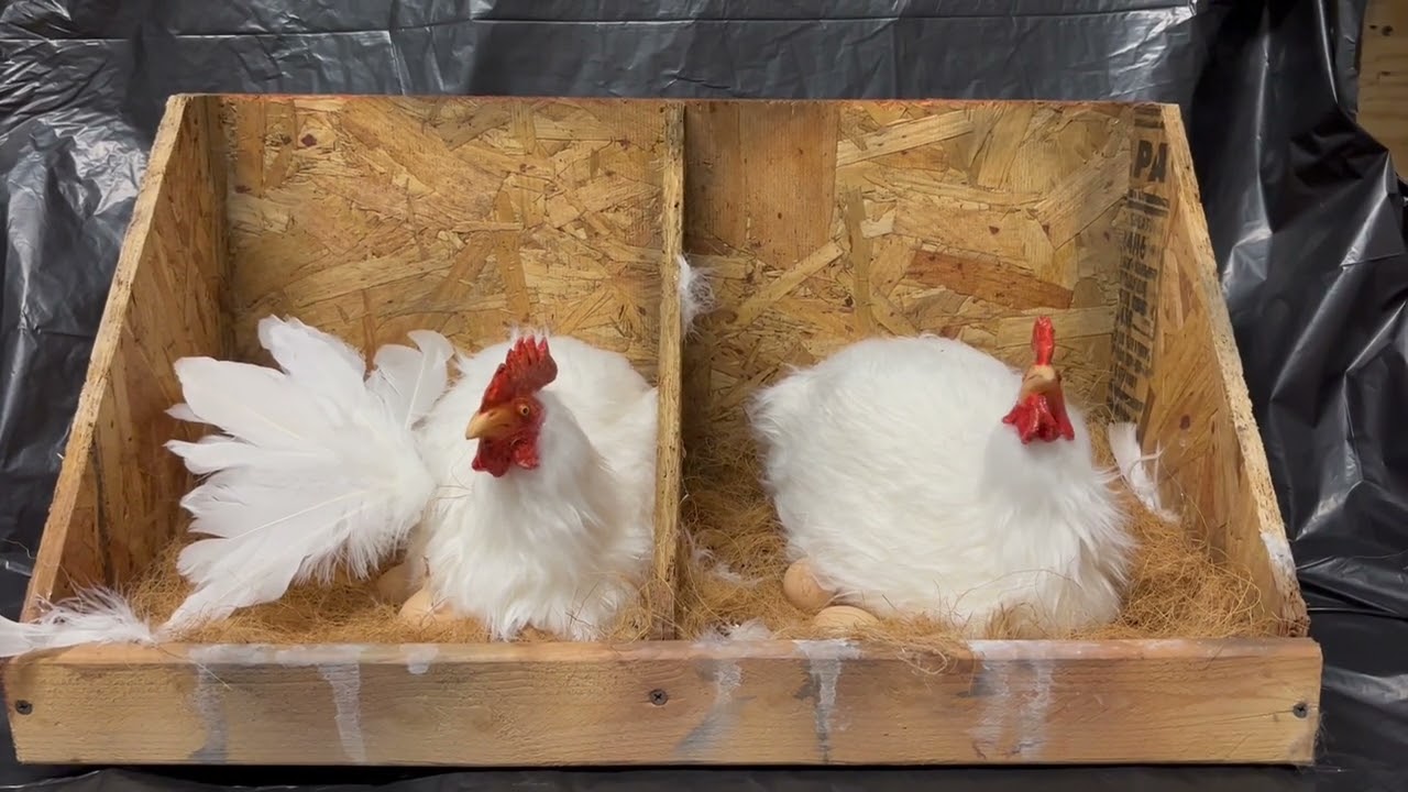 Animatronic Brooding Hens