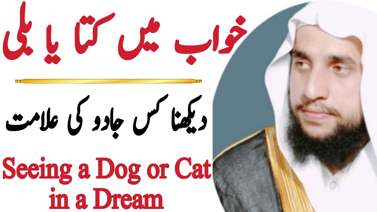 Seeing a Dog or a Cat in a Dream | Black Magic | قاری عبدالباسط سلفی |