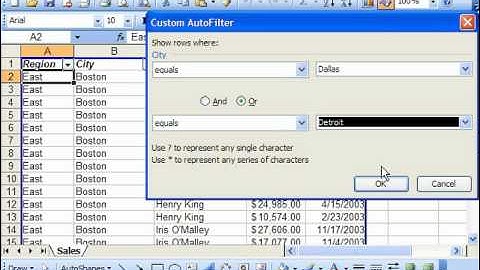 Excel 2003 Tutorial Using the Custom AutoFilter Microsoft Training Lesson 27.3