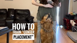 How to train your dog center placement