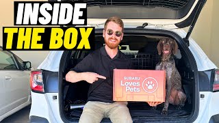 Subaru Loves Pets  Inside the Box!