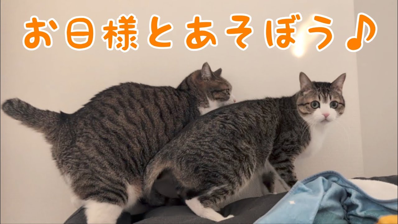 太陽の光であそびましょう♪ vol.1477 - YouTube