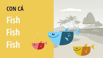 Bé học tiếng anh về động vật - Con cá - Học Tiếng Anh miễn phí cùng TiDocs