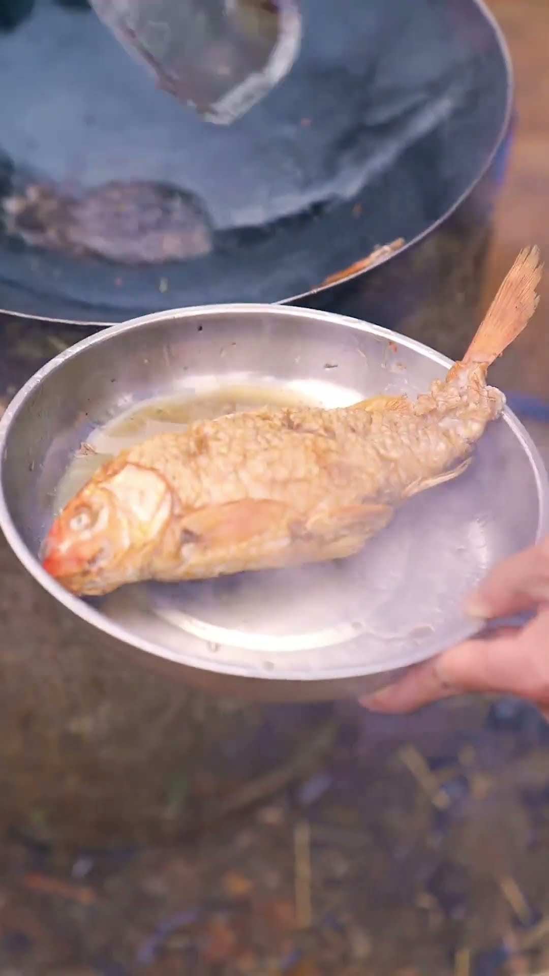 Guige's One-Day Rural Life Experience: Frying Fish For Stray Cats! #Shorts#Guige
