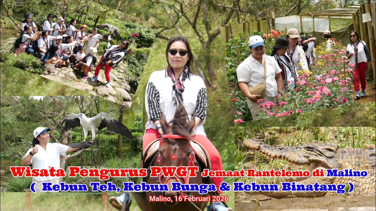  Kebun Teh, Kebun Bunga & Kebun Binatang | Wisata Pengurus PWGT Jemaat Rantelemo di Malino