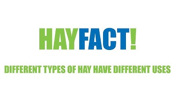 Hay Facts! - Different Types of Hay have Different Uses