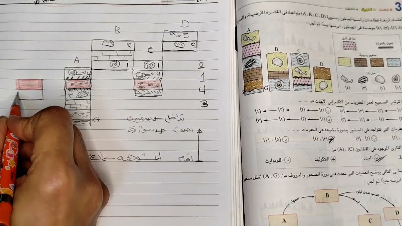المضاهاه الصخرية _ حل كتاب الامتحان جيولوجيا ثانوية عامة 2024 _ الباب الثالث الصخور _ السؤال ٨٠