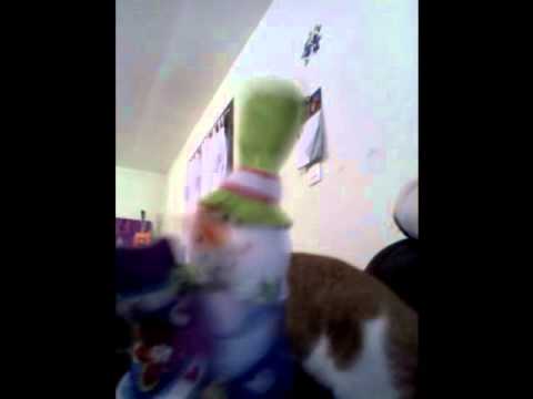 CHAT VS MARIONNETTE