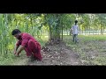 Comedy Video mera kheet aor bones... artists mo.sajid ..Active music studio ...