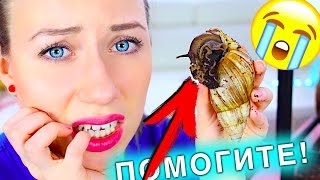 ЧТО ТО СЛУЧИЛОСЬ С УЛИТКОЙ ИЛИ РОЖАЕТ BABY - УЛИТКА НЕ ЕСТ | Elli Di Pets