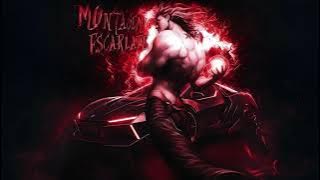 ππππππππ ππππππ πππππ ππππππ