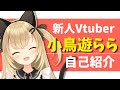 【自己紹介】はじめまして!新人Vtuber小鳥遊ららです✨【初投稿】