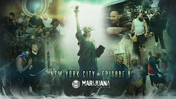 Marijuana Mania Episode 9 - New York City