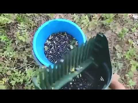 Пластиковый совок для сбора черники Грабли для сбора ягод Садовый инструмент для сбора черники