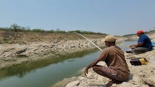 Single Small Hook Fishing|Fisherman Catching The Fishes To Small Hook|Unique Baam fishing