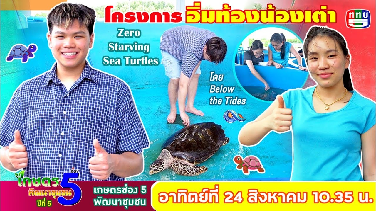 All Videos