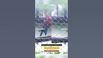 Stainless steel netting for zoo enclosure and aviary #fencing #animals #birdnetting #enclosure
