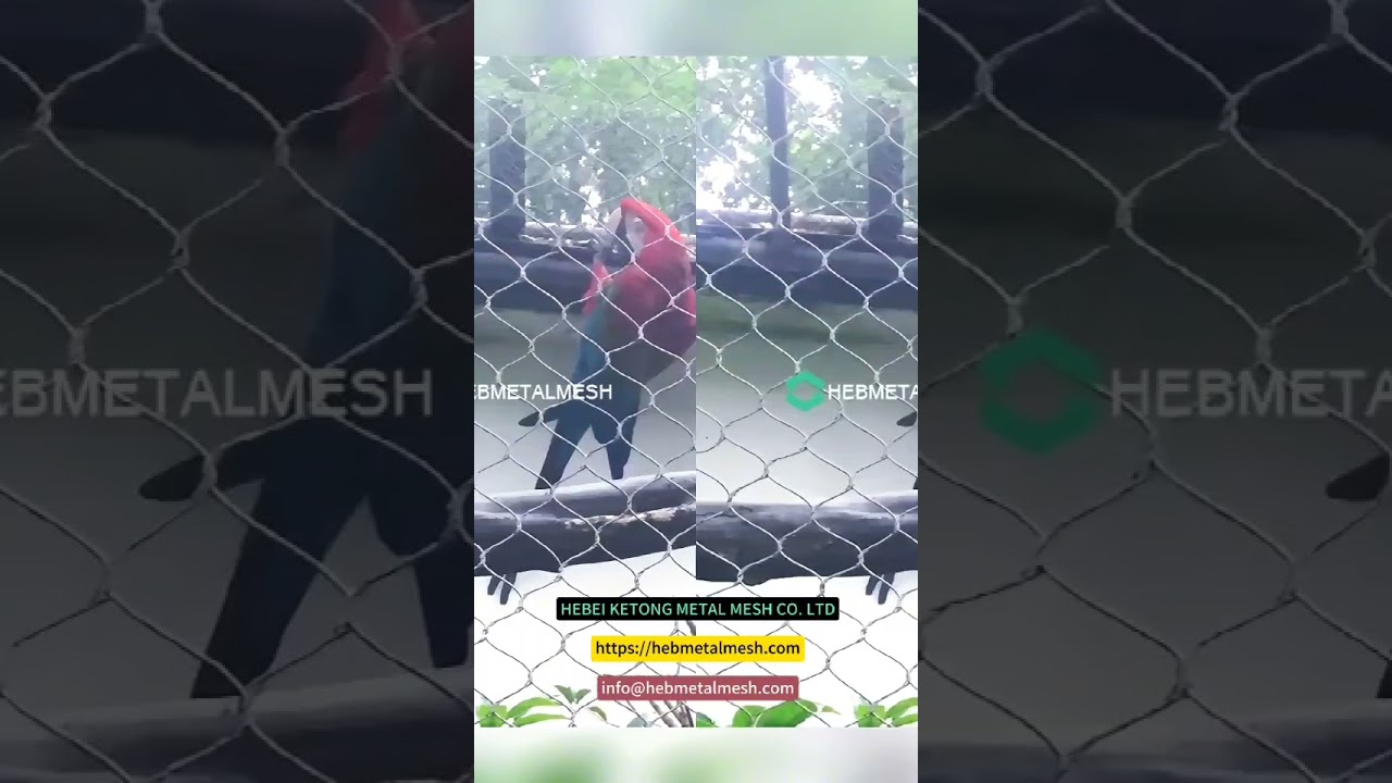 Stainless steel netting for zoo enclosure and aviary 