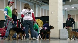 Mega Adoption Event and Holiday Extravaganza
