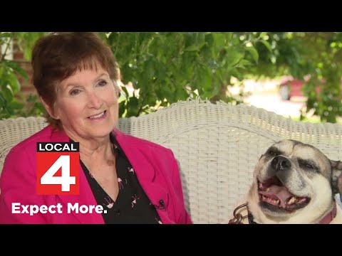 Video: Adjunctul directorului visează să trăiască în canisa de câini cu ea până când a fost adoptată și funcționează!