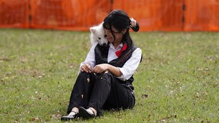 Dog Dance 【Japanese Spitz】