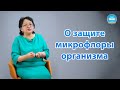 Профессор Баешова Динагуль Аяпбековна - о защите микрофлоры организма