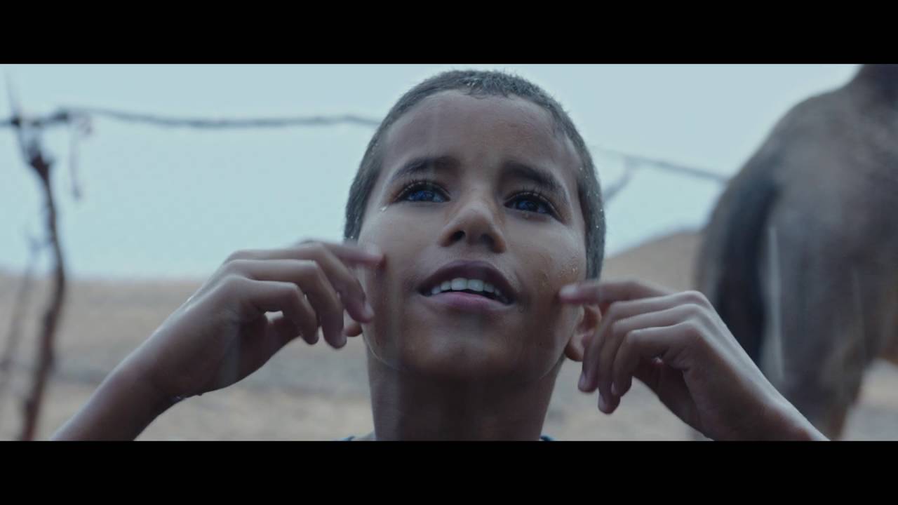 Trailer - Palabras de Caramelo - YouTube