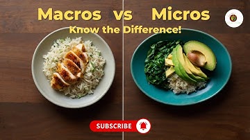 Macros vs  Micros  What’s the Real Difference