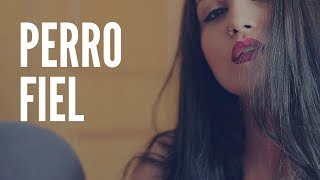 Video thumbnail of "PERRO FIEL - SHAKIRA FT. NICKY JAM | CAROLINA GARCÍA COVER"