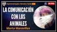 Las maravillas de la comunicación animal ile ilgili video