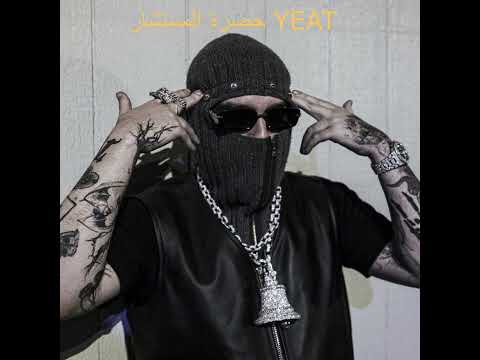 حضرة المستشار 