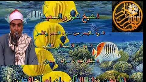 الشيخ عمرو السعيد قارئ بجمهورية مصر العربية تلاوه مباركه ما تيسر من سوره النجم والقمر