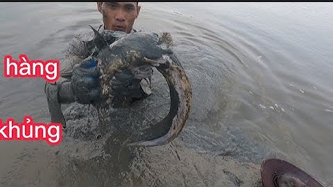 đi bắt tôm tít, và đạp hang cá ngát ở hang(lê nghiã cần giờ)