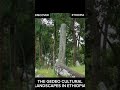 THE GEDEO CULTURAL LANDSCAPE IN ETHIOPIA Ethiopiatravel 