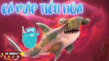 Hung thần biển cả đã tiến hóa như thế nào? | CÁ MẬP | Hoạt Hình Khoa Học Vui