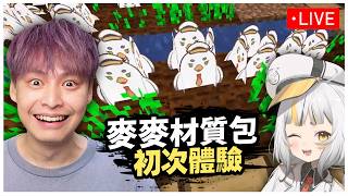 玩麥麥Minecraft材質包