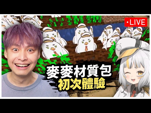 玩麥麥Minecraft材質包