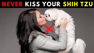 Have You Ever Kissed Your Shih Tzu ? Understand How Shih tzu Perceive Kisses by Animal Guide 1,046 views 3 weeks ago 7 minutes, 54 seconds