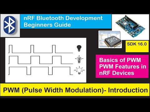 Video: Grey Pwm Ntawm Dib