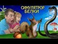 СИМУЛЯТОР Маленькой БЕЛКИ Выживание в лесу детский летсплей