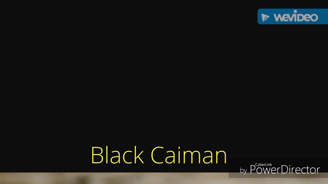 camera iphone 8 plus apk The Black Caiman