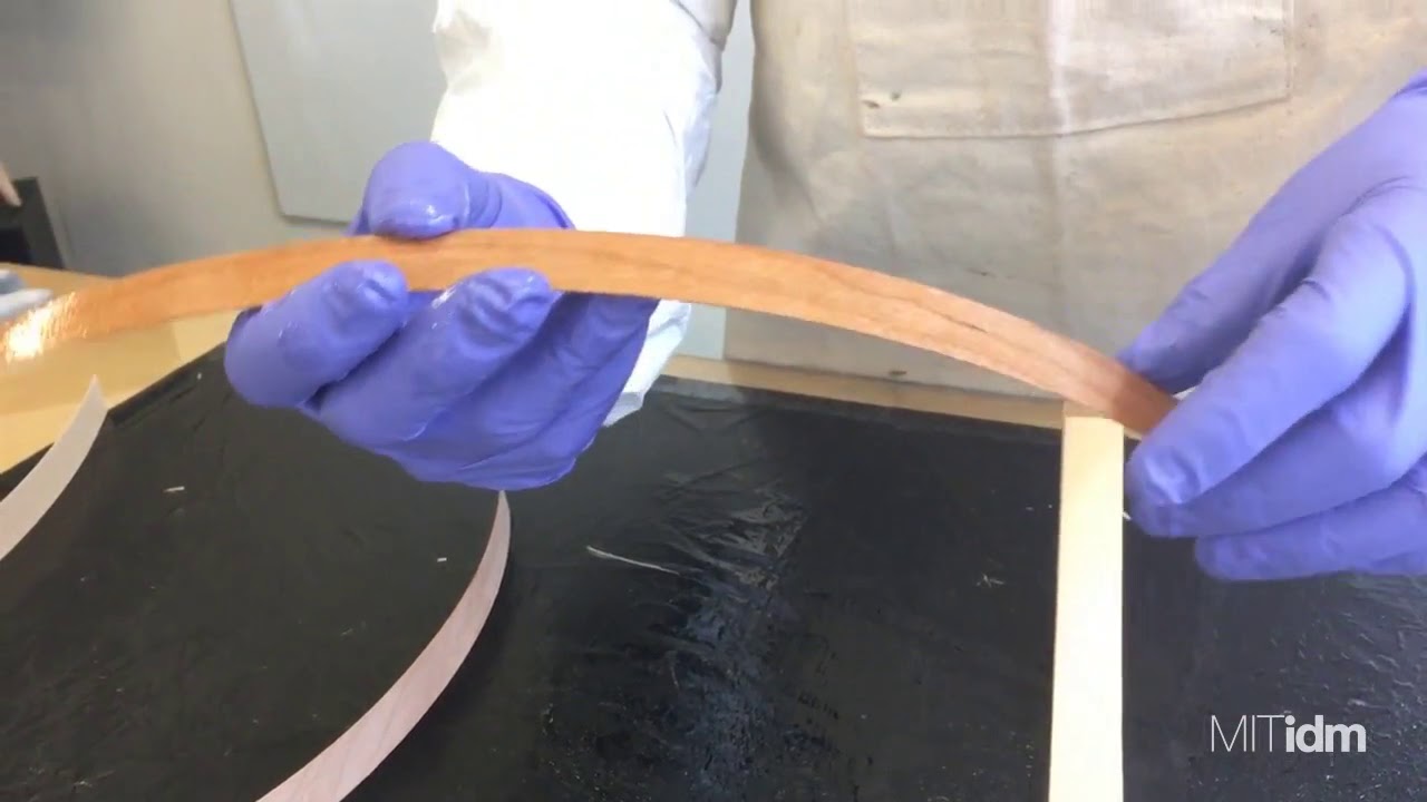 IDM Cold Molding with Wood Veneer YouTube