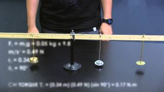 PHY2053C - Torque Lab: Part 2