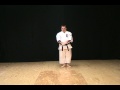 Seisan kata of isshinryu karate michael calandra