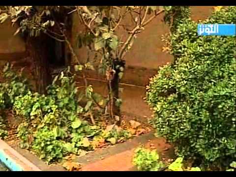 فيلم الشيخ محمد البهائي مدبلج