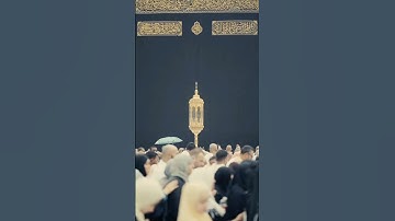 Surat ul Anaam | سورة الأنعام | Verses 164-165 🥀🤲♥️
