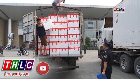 Hơn 30.000 tấn vải thiều xuất qua cửa khẩu quốc tế Lào Cai | THLC