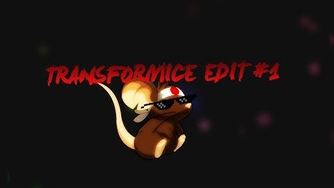 ‹TRANSFORMICE EDIT #1 - PEGANDO UNS FIRTS, OU QUASE!›