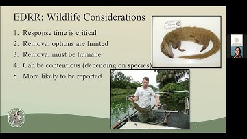 Early Detection and Rapid Response for Invasive Wildlife in FL