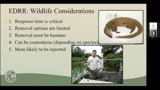 Early Detection and Rapid Response for Invasive Wildlife in FL